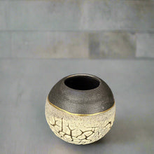 Load image into Gallery viewer, Mini lichen moon jar with black and gold