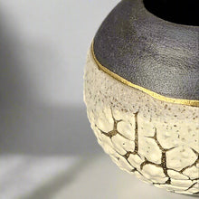 Load image into Gallery viewer, Mini lichen moon jar with black and gold
