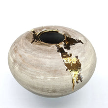 Load image into Gallery viewer, Lichen and gold large moon jar