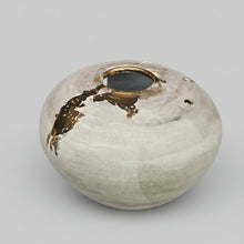 Load image into Gallery viewer, Lichen and gold large moon jar