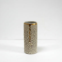Load image into Gallery viewer, Tall lichen and gold cylinder