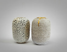 Load image into Gallery viewer, Flow Lichen and gold large moon jar