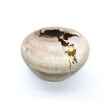 Load image into Gallery viewer, Lichen and gold large moon jar