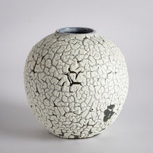 Load image into Gallery viewer, Crackle moonjar lichen glaze vase
