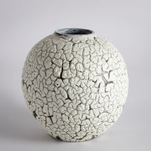 Load image into Gallery viewer, Crackle moonjar lichen glaze vase