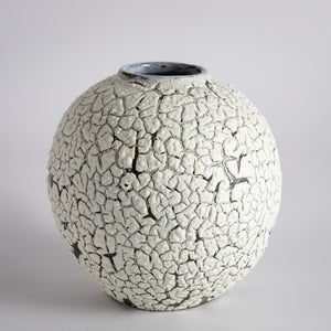 Crackle moonjar lichen glaze vase