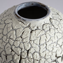 Load image into Gallery viewer, Crackle moonjar lichen glaze vase