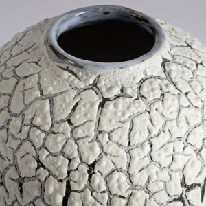 Crackle moonjar lichen glaze vase