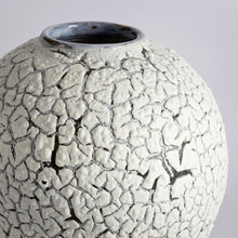 Load image into Gallery viewer, Crackle moonjar lichen glaze vase