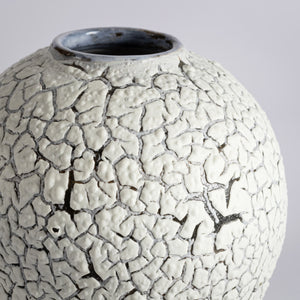 Crackle moonjar lichen glaze vase