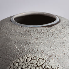 Load image into Gallery viewer, Very large moonjar stoneware vase lichen crackle glaze