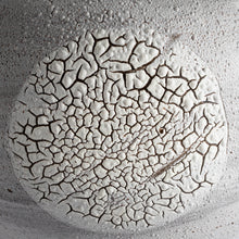 Load image into Gallery viewer, Very large moonjar stoneware vase lichen crackle glaze