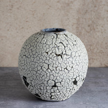 Load image into Gallery viewer, Crackle moonjar lichen glaze vase