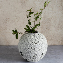 Load image into Gallery viewer, Crackle moonjar lichen glaze vase